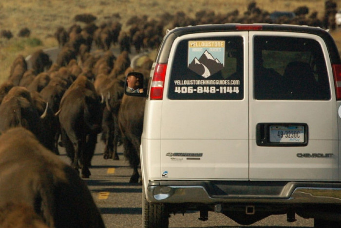 Yellowstone Hiking Guides — , 