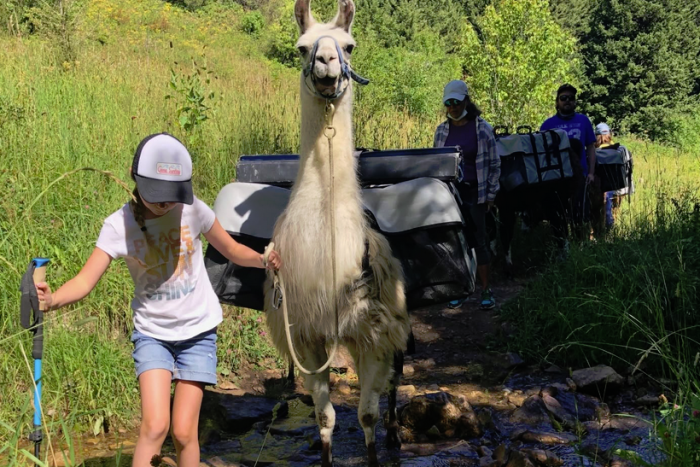 Montana Llama Guides — , 