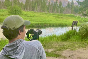 Yellowstone WolfTracker