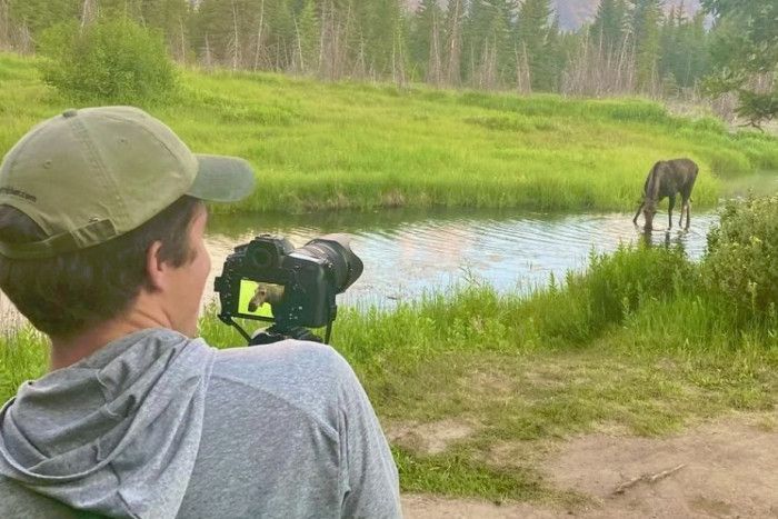 Yellowstone Wolf Tracker — Gardiner, MT