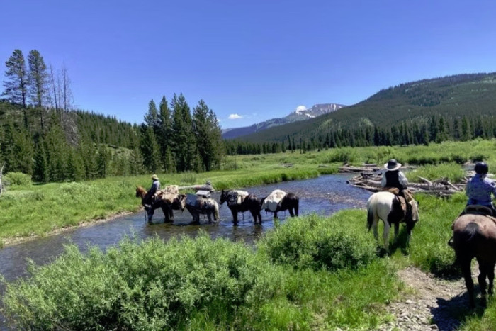 Yellowstone Horse and Mule — Absarokee, MT