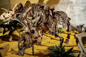 See MORE Dinosaurs Up Close in Wyoming