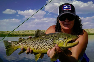 Greater Yellowstone Flyfishing - 33 Years Guiding