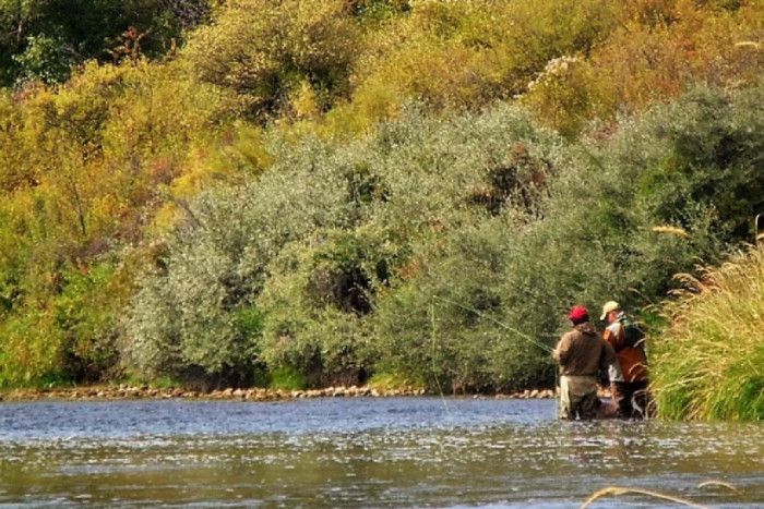 GYFO - Greater Yellowstone Fly Fishers — Bozeman, MT