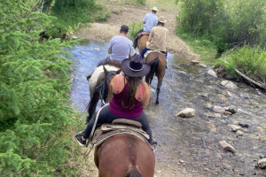 Jake's Horses - Montana trail rides