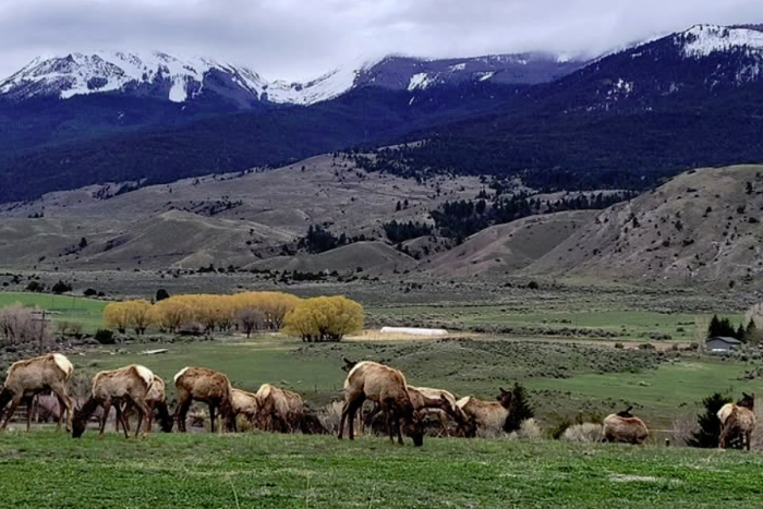 Yellowstone Basin Inn — Gardiner, MT