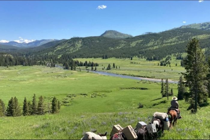 Yellowstone Horse and Mule — Absarokee, MT