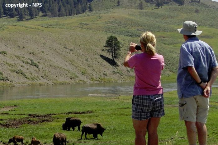 Yellowstone Rent A Car — Belgrade, MT