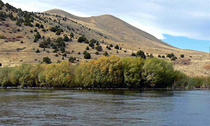 Madison River Fall Montana
