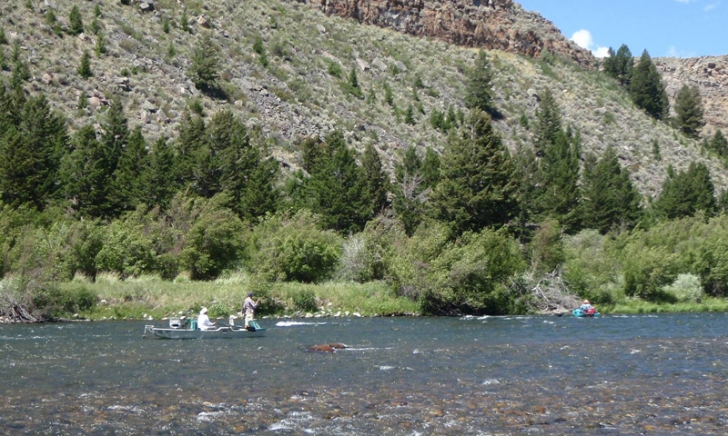 El Western Cabins And Lodges Ennis Montana Palisades Creek Fly Fishing