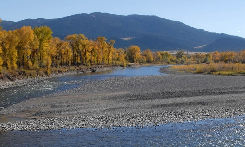 Yellowstone River Livingston Montana