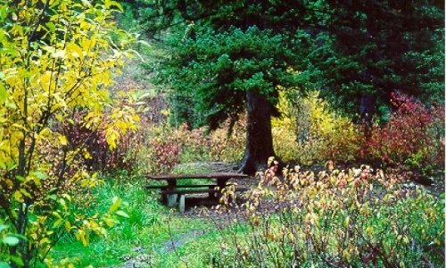 Spire Rock Campground