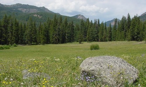 Timber Camp Campground