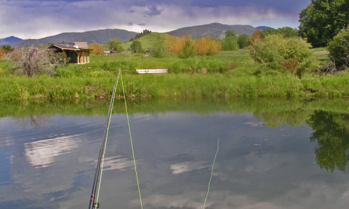 Gallatin Gateway Activities