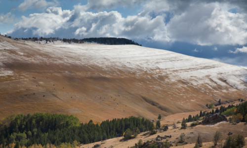 Bighorn Mountains