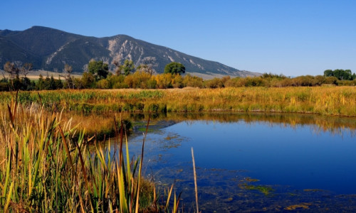 Ruby River