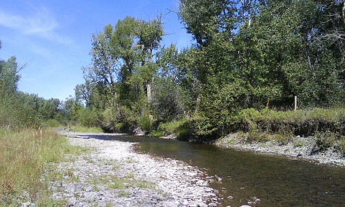 Shields River