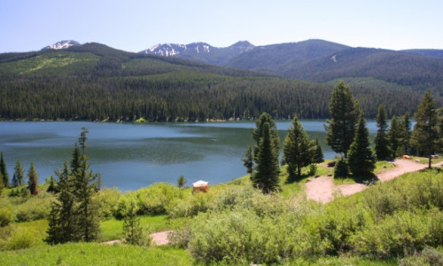 Bozeman National Forest Camping