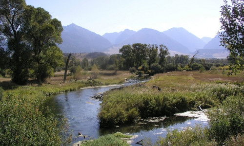 Livingston Montana Fly Fishing