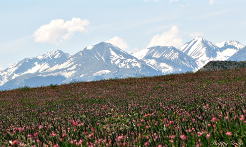 Crazy Mountains