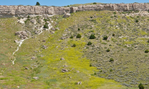 Buffalo Jump