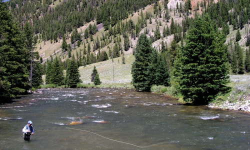 Canyons
