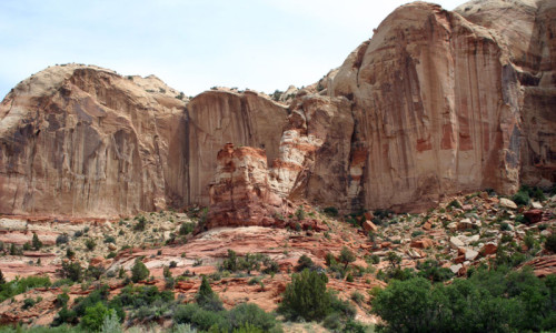 Trail Creek Area