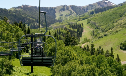 Ziplines & Chairlift Rides