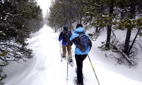 Winter in Yellowstone